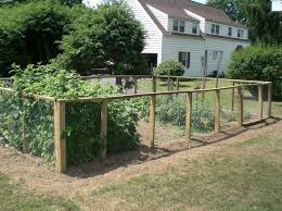 vegetable garden fence design