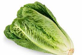 health benefits of romaine lettuce