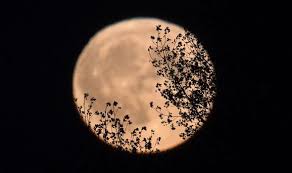 Full Moon Dates 2019 When Is The December Full Moon