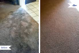 carpet cleaning chem dry of rochester