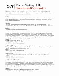How To Write My Computer Skills On A Resume New Puter Skills