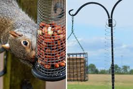 keep squirrels away from bird feeders