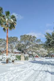 does it snow in austin texas what to