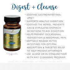 5 day cleanse