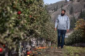 Last Days For Bc S Apple Industry