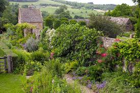 Country Garden Plants Uk Stock Image