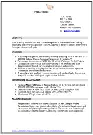 Marketing Resume Format   Marketing Executive Resume Sample                  