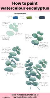 Paint Watercolour Eucalyptus Leaf