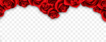 love rose flower png 985 394