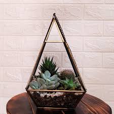 Hanging Triangle Shaped Terrarium With