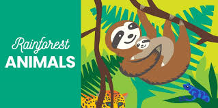 40 rainforest s birds mammals
