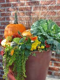 10 Standout Fall Container Gardens With