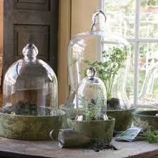 glass bell cloches glass bell jar