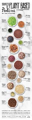 Plant Based Protein Sources Little Pine Low Carb