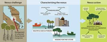Newton college offers flexible, affordable, and innovative quality education. Using Nexus Thinking To Identify Opportunities For Mangrove Management In The Klang Islands Malaysia Sciencedirect