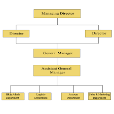 Organization Chart General Paints