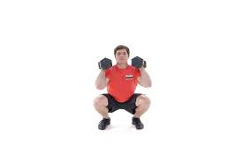 the dumbbell hang clean and push
