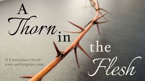 Image result for paul's thorn in the flesh given to him by a messenger of satan