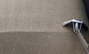 lario s carpet cleaning up to 55 off