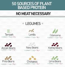 50 Plant Based Protein Sources