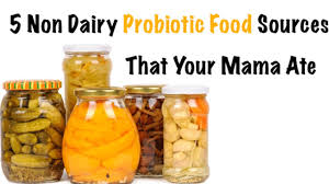 Image result for FREE PIC OF PROBIOTICS