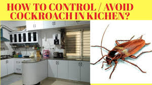 get rid of roaches in kitchen