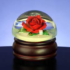Red Rose Mushroom Water Globe Box