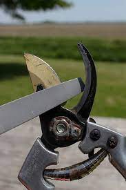 how to sharpen hedge clippers and