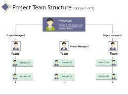 Project Team Structure Template 1 Ppt Powerpoint