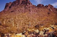 Image result for check out time picacho peak state park