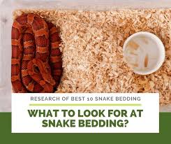 10 best snake beddings their reviews