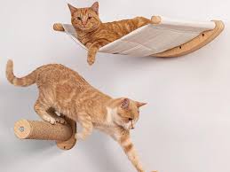 jungle gym for your cat with these shelves