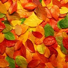 50 autumn wallpaper for ipad