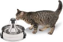 do-vets-recommend-water-fountains-for-cats