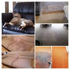 the best 10 carpet cleaning in