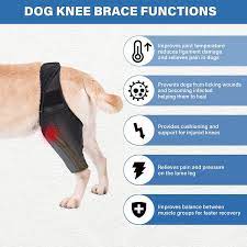 dog knee brace dog leg support for torn