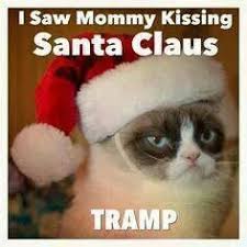 Grumpy Cat! on Pinterest | Grumpy Cat Christmas, Grumpy Cat Meme ... via Relatably.com