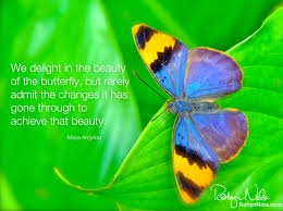 We delight in the beauty of the butterfly, but rarely admit the changes it has gone through to achieve. 24 Inspirational Quotes And Butterflies Best Quote Hd