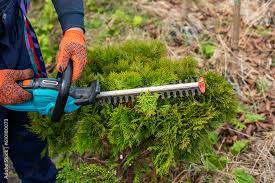 Hedge Trimmer Cutting Bushes Making