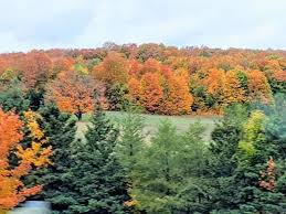 Michigan Fall Color Update This Is The Weekend To Head