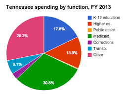Medicaid Spending In Tennessee Ballotpedia