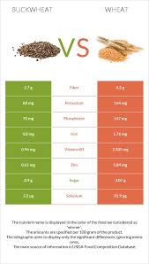buckwheat vs wheat how diffe are