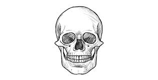 Common instruments include graphite pencils , pen and ink , inked brushes , wax color pencils , crayons , charcoals , chalk , pastels , markers , stylus , or various metals like silverpoint. How To Draw A Skull