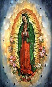 How do people celebrate la virgen de guadalupe in mexico? Virgen De Guadalupe Imagenes Hermosas For Android Apk Download