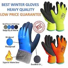 Gloves Mens Freezer Warm