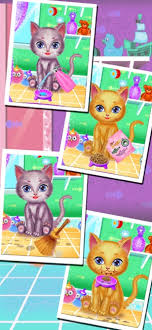 pet cat makeup salon game on the