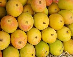 Нет ничего лучше, чем читать мангу онлайн с удобного сайта, своевременно получать. Order Alphonso Mango Online At Best Price 2021 Devgad Hapus Mango
