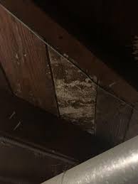 Usually you will be able to see mold on your ceiling. Apartment Mold Water Damage Album On Imgur