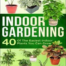 Indoor Gardening 40 Of The Easiest
