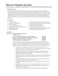 Resume Summary Statement Example Best Of Customer Service Examples